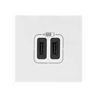 Розетка USB для зарядки устройств Legrand Mosaic Белый (в сборе) 