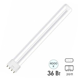Лампа Osram Dulux L 36W/940 DE LUXE 2G11 холодно-белая 
