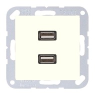 Розетка USB-удлинитель 2 местная Jung A+AS Слоновая кость механизм+накладка (бежевый)
