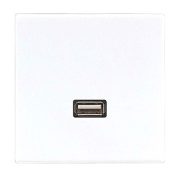 Розетка USB-удлинитель 1 местная Jung LS Белый механизм+накладка 