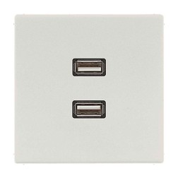 Розетка USB-удлинитель 2 местная Jung LS Светло-серый механизм+накладка 