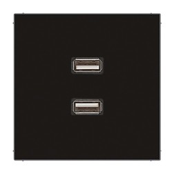 Розетка USB-удлинитель 2 местная Jung LS Черный механизм+накладка 