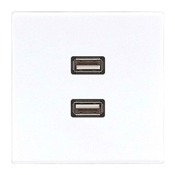 Розетка USB-удлинитель 2 местная Jung LS Белый механизм+накладка 