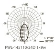 Светильник светодиодный фасадный PWL-145110/24D 1x9W 6500K GR 230V Jazzway 