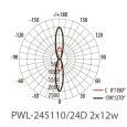 Светильник светодиодный фасадный PWL-245110/24D 2x12W 6500K GR 230V Jazzway 