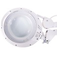 Лупа на струбцине круглая 3D с подсветкой 60 LED, сенсорный регулятор яркости, белая REXANT 