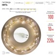 Гирлянда ЭРА ENIN -10NW LED Нить 10м теплый свет 220V 5056396208181 