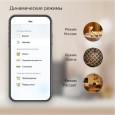 Лампа светодиодная филаментная Gauss Smart Home DIM+CCT E27 Diamond Golden 6,5 Вт 2000-5500 К 1/40 