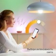 Лампа Светодиодная Gauss Smart Home DIM E27 A60 8.5 Вт 2700К 1/10/40 