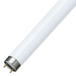 Люминесцентная лампа T8 Osram L 18W 830 PLUS ECO RUS G13, 590mm СМ 