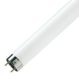 Люминесцентная лампа T8 Philips TL-D 58W/54-765 G13, 1500 mm 