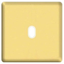 Накладка для 1-го тумблера Fede Real gold  бежевый 