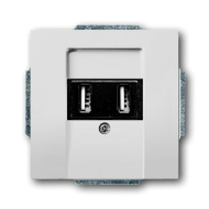 Розетка силовая с USB зарядкой ABB Busch-axcent Белый (в сборе) 