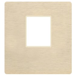 Лицевая панель для механизма MULTIMEDIA с одним коннектором  Soho Fede Brushed Brass бежевый 