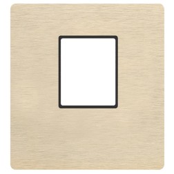 Лицевая панель для механизма MULTIMEDIA с одним коннектором  Soho Fede Brushed Brass черный 