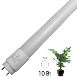 Светодиодная лампа для растений FL-LED T8 10W PLANTS G13 220V L600mm 