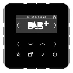 Цифровое радио DAB+/FM Jung СВ черный 
