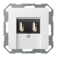 Розетка USB для зарядки устройств Gira Standard 55 Белый шелковисто-матовый (в сборе) 