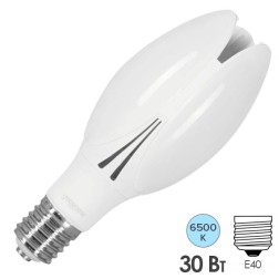 Лампа Gauss Basic BT100 AC180-240V 30W 2950lm 6500K E40 LED 1/20 