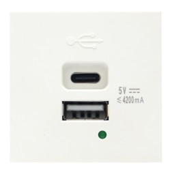 USB зарядное устройство 4.2A Type A + C 2 модуля (45х45мм) серия DF6 Donel белый 