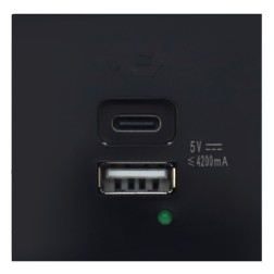 USB зарядное устройство 4.2A Type A + C 2 модуля (45х45мм) серия DF6 Donel черный 