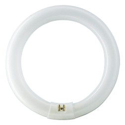 Люминесцентная лампа кольцевая Philips TL-E Circular 32W/54-765 T9 G10q, 305mm 