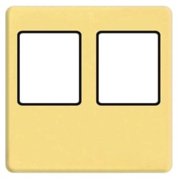 Накладка компьютерная 2-ая RJ45 Fede Bright gold черный 
