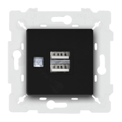 Розетка USB для зарядки устройств Fede New Belle Epoque  Wood Черный (в сборе) 