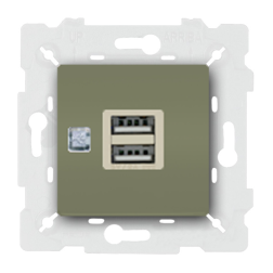 Розетка USB для зарядки устройств Fede Marco Green olive (в сборе) 