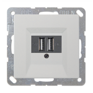 Розетка USB для зарядки устройств Jung LSplus Светло-серый (в сборе) 