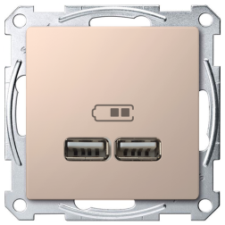 Розетка USB для зарядки устройств Merten D-Life Шампань (в сборе) 