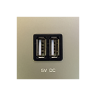 Розетка USB для зарядки устройств ABB Zenit Шампань (в сборе) 