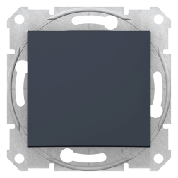 Заглушка Schneider Electric Sedna Графит (в сборе) 