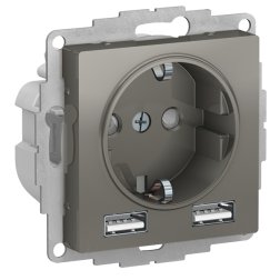 Розетка силовая с USB зарядкой Schneider Electric AtlasDesign Nature Сталь (в сборе) 